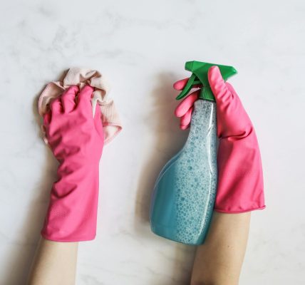 jak szybko posprzątać dom