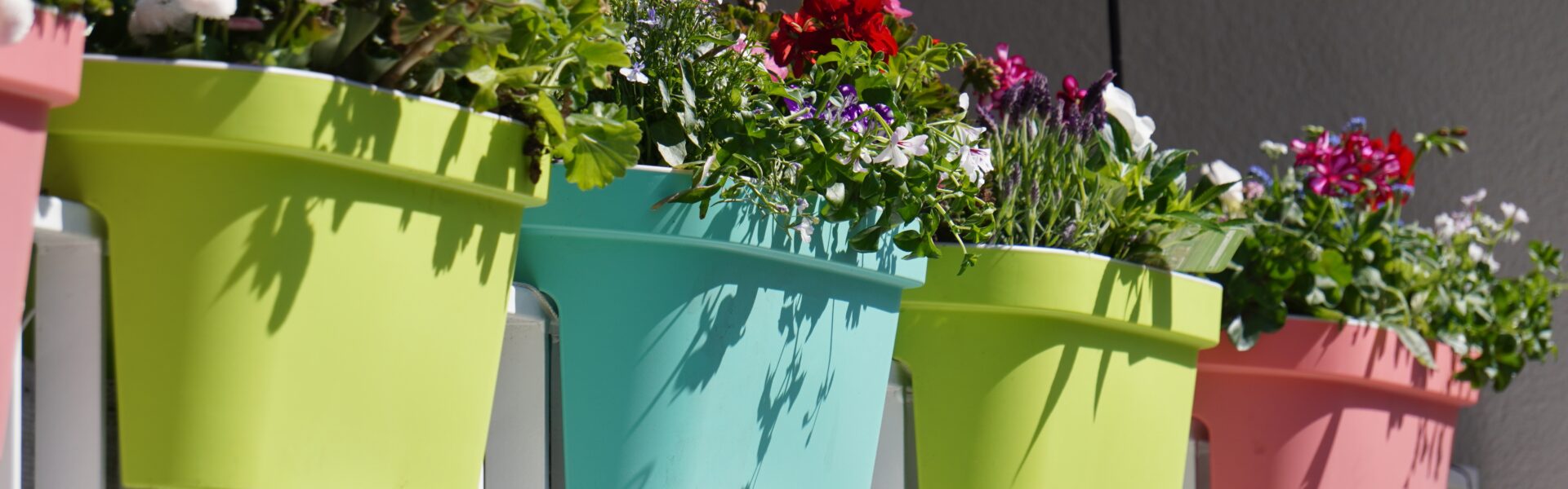 balkon pełen kolorów