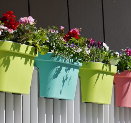 balkon pełen kolorów