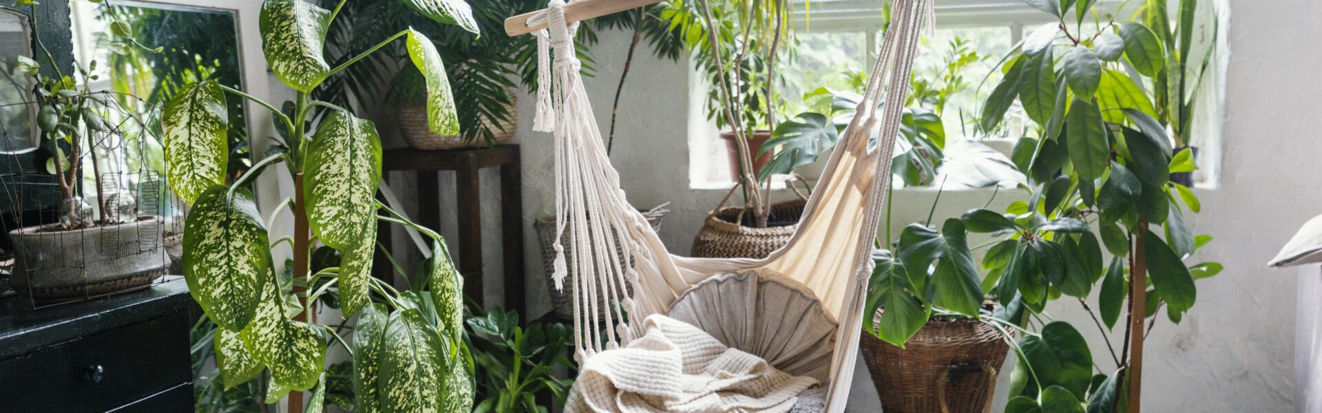 Styl tropikalny w mieszkaniu